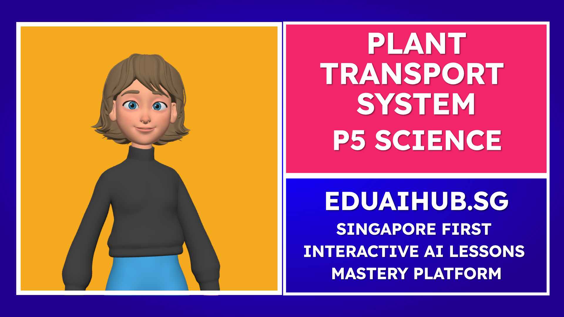 Plant Transport System