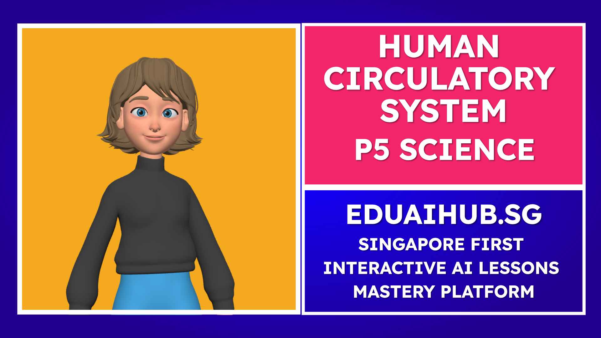 Human Circulatory System