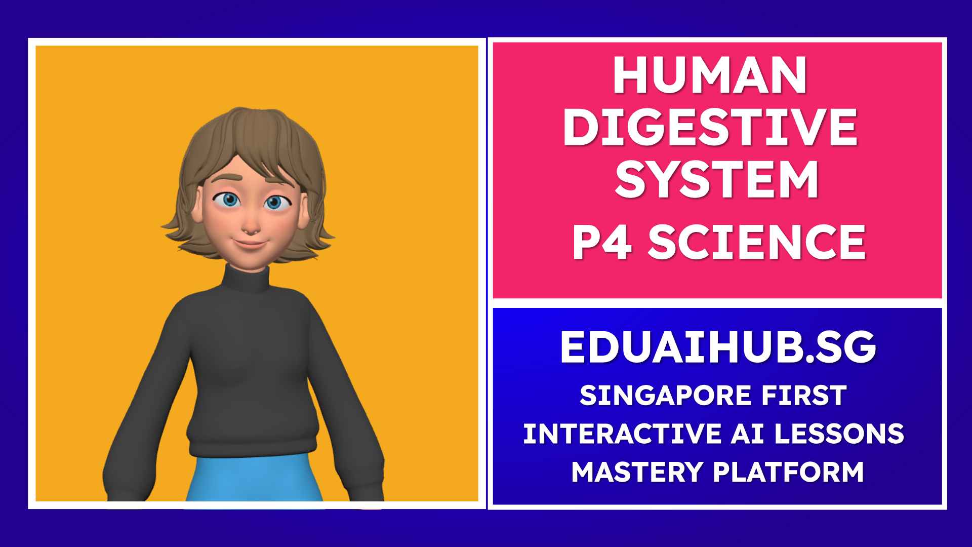 Human Digestive System